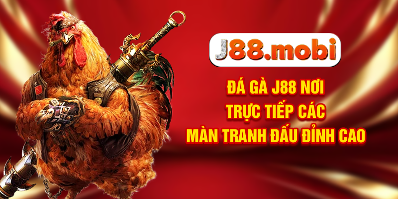 Đá Gà J88 Nơi Trực Tiếp Các Màn Tranh Đấu Đỉnh Cao Đá Gà J88 Nơi Trực Tiếp Các Màn Tranh Đấu Đỉnh Cao