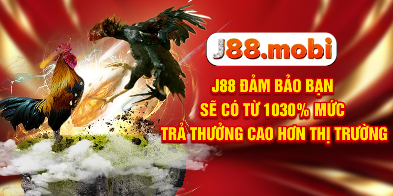 Đá Gà J88 Nơi Trực Tiếp Các Màn Tranh Đấu Đỉnh Cao J88 đảm bảo bạn sẽ có từ 10-30% mức trả thưởng cao hơn thị trường